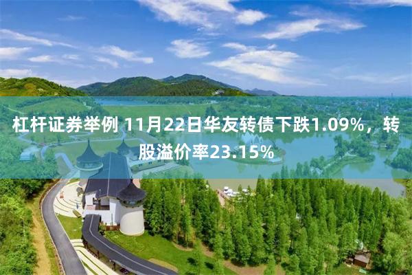 杠杆证券举例 11月22日华友转债下跌1.09%，转股溢价率23.15%
