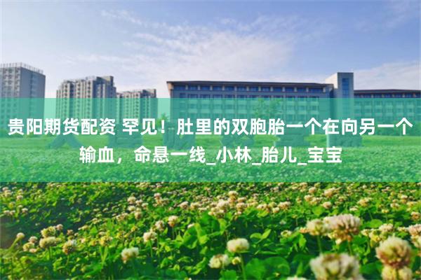 贵阳期货配资 罕见！肚里的双胞胎一个在向另一个输血，命悬一线_小林_胎儿_宝宝