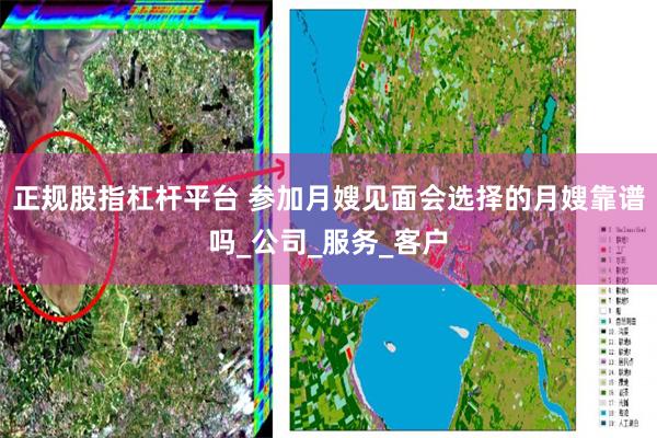 正规股指杠杆平台 参加月嫂见面会选择的月嫂靠谱吗_公司_服务_客户