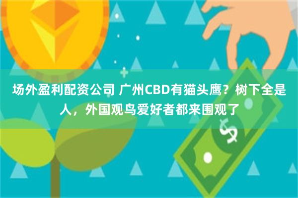 场外盈利配资公司 广州CBD有猫头鹰？树下全是人，外国观鸟爱好者都来围观了