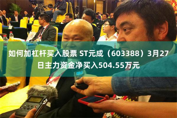 如何加杠杆买入股票 ST元成（603388）3月27日主力资金净买入504.55万元