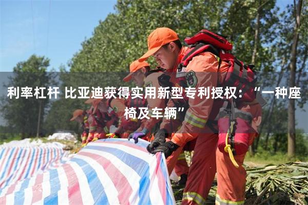 利率杠杆 比亚迪获得实用新型专利授权：“一种座椅及车辆”