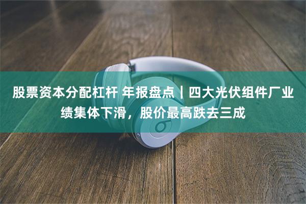股票资本分配杠杆 年报盘点｜四大光伏组件厂业绩集体下滑，股价最高跌去三成