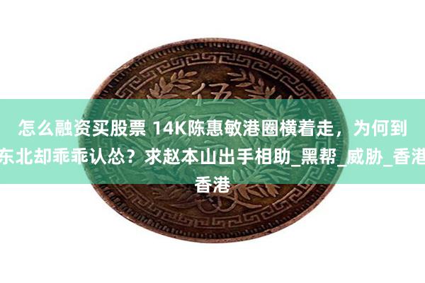 怎么融资买股票 14K陈惠敏港圈横着走，为何到东北却乖乖认怂？求赵本山出手相助_黑帮_威胁_香港