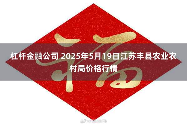 杠杆金融公司 2025年5月19日江苏丰县农业农村局价格行情