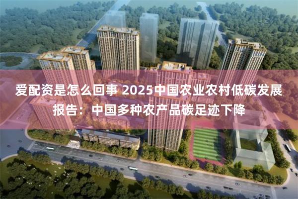 爱配资是怎么回事 2025中国农业农村低碳发展报告：中国多种农产品碳足迹下降