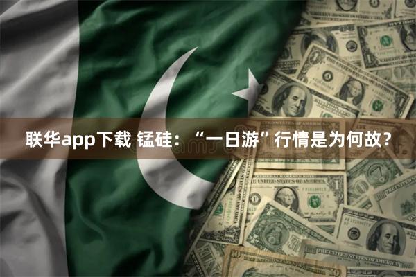 联华app下载 锰硅：“一日游”行情是为何故？