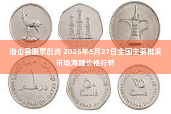 潜山县股票配资 2025年5月27日全国主要批发市场海鳗价格行情