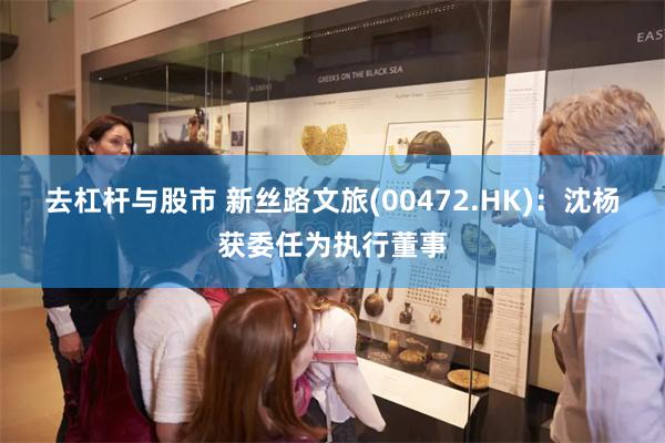 去杠杆与股市 新丝路文旅(00472.HK)：沈杨获委任为执行董事