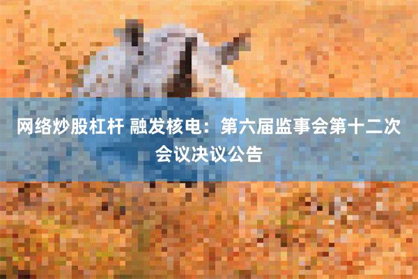 网络炒股杠杆 融发核电：第六届监事会第十二次会议决议公告