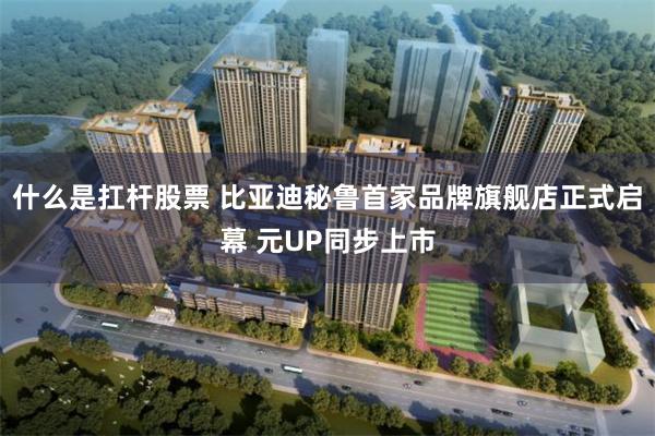 什么是扛杆股票 比亚迪秘鲁首家品牌旗舰店正式启幕 元UP同步上市