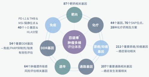 臻和科技獲超十億元E輪融資，加速腫瘤診斷產(chǎn)品研發(fā)及信息技術(shù)咨詢服務(wù)升級